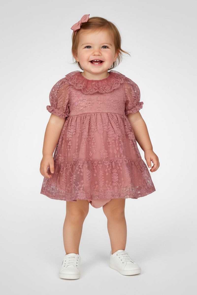 Nanette lepore Toddlers Girl 2Pcs Textured Dress With Panty Set, Mauve - Image 1