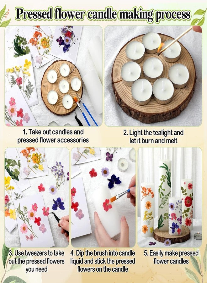 MTLEE 24 Pack Dried Pressed Flower Candle Painting Kit 6 White Pillar 6 Dried Pressed Flower 10 Tealight Candle with Tweezer Brush for Girls Night Birthday Wedding Party DIY Crafts Decor(4/6/8 Inch) - Image 3