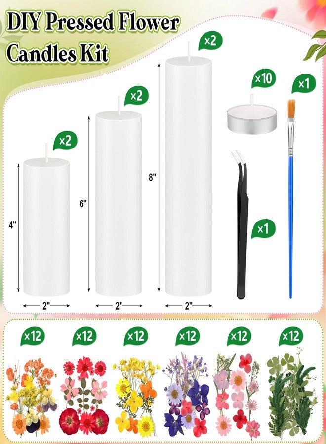 MTLEE 24 Pack Dried Pressed Flower Candle Painting Kit 6 White Pillar 6 Dried Pressed Flower 10 Tealight Candle with Tweezer Brush for Girls Night Birthday Wedding Party DIY Crafts Decor(4/6/8 Inch) - Image 2