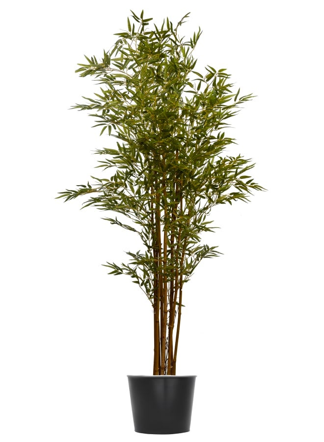 يونيك بوتس اند بلانتس بامبوو شجرة صناعية ارتفاع 220سم - Image 1