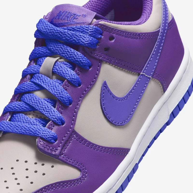 Nike Kids' Dunk Low Shoes