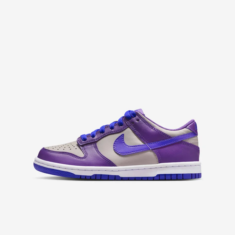 Nike Kids' Dunk Low Shoes