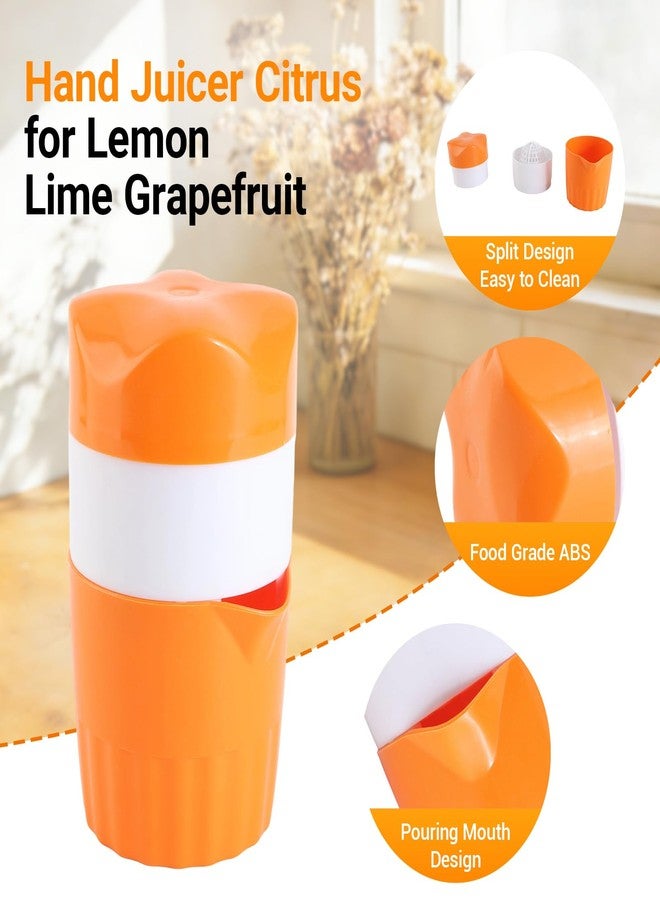 Jerliflyer 1Pcs Orange Juicer, Hand Juicer Citrus Squeezer Manual Lid Rotation Press Reamer For Lemon Lime Grapefruit With Strainer And Container for Home kitchen Use - Image 3