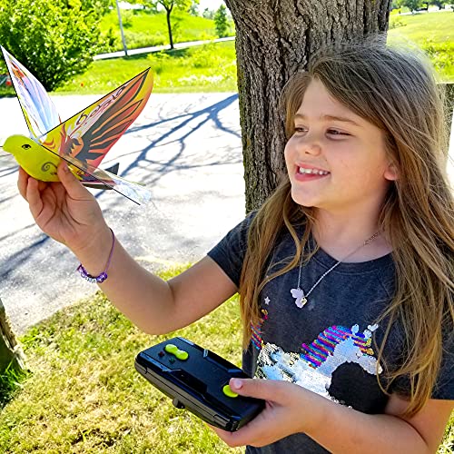 MUKIKIM eBird Orange Phoenix - Flying RC Bird Drone Toy for Kids. Indoor/Outdoor Remote Control Bionic Flapping Wings Bird Helicopter. USB Recharging. - Image 2