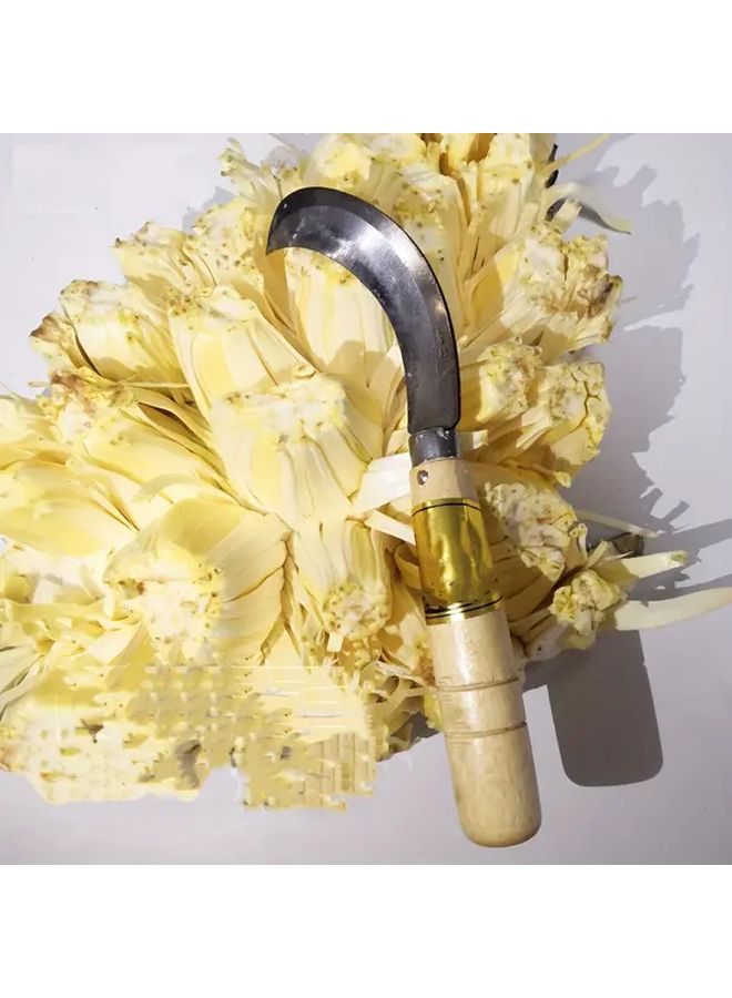 Stainless Steel Fruit Corer Set Removes Pomegranate Pineapple Watermelon Mango Seed - Image 1