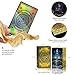 WJPC Laser Gold Foil Edge Tarot Cards with Guide Book SetGift Box for Beginner Expert Original Design World History of Reverse Laser Gold - Image 4