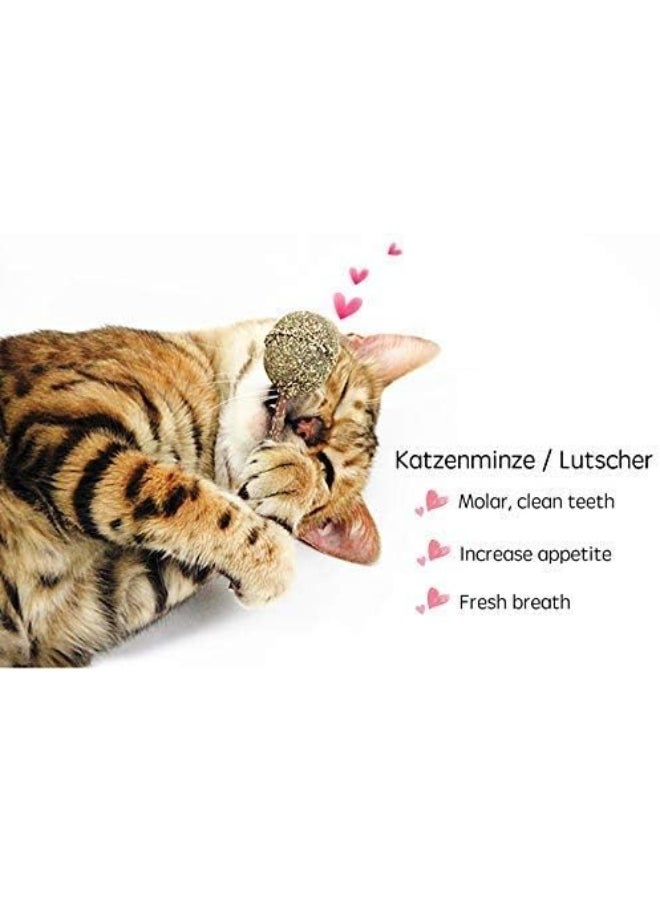 Mumoo Bear Mumoo Bear 2PCS Natural Cat Treats Cat Toy Catnip Lollipop, Cat Mint Ball Stick Catnip Toys Cat Dental Chews Teeth Cleaning  - Image 3