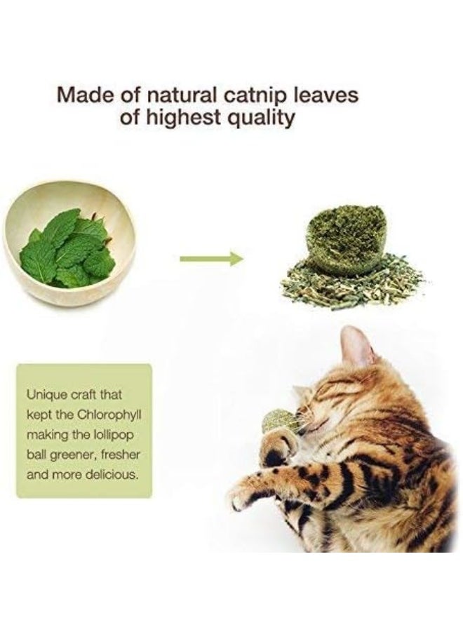 Mumoo Bear Mumoo Bear 2PCS Natural Cat Treats Cat Toy Catnip Lollipop, Cat Mint Ball Stick Catnip Toys Cat Dental Chews Teeth Cleaning  - Image 2