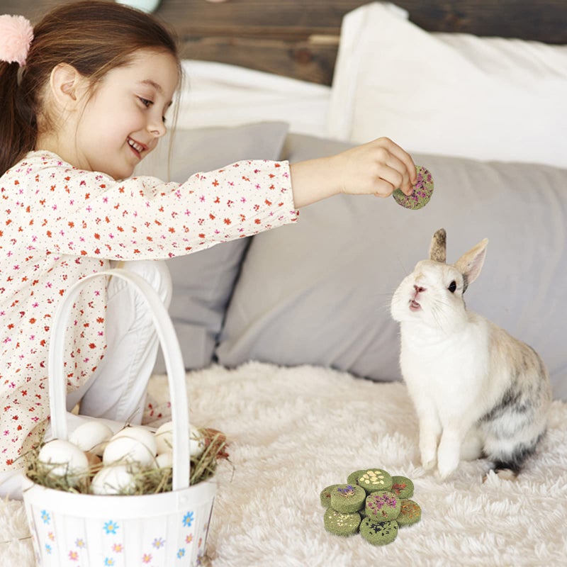 ERKOON Treats Rabbit Toys, 100% Edible Premium Timothy Hay Chew A Blocks for Rabbits, Chinchilla Treats, Chew Toys for Teeth Guinea Pigs and Mice - Image 3