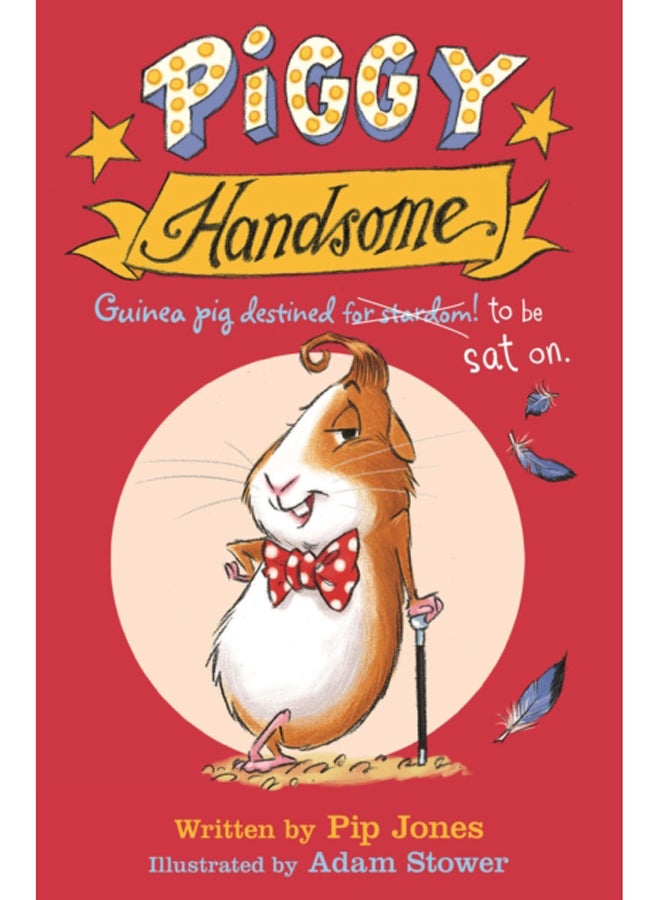 Piggy Handsome : Guinea Pig Destined for Stardom! 