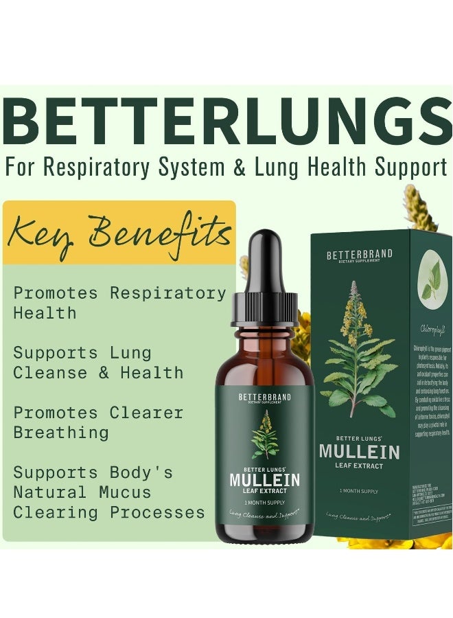 Mullein And Sparrow Betterbrand BetterLungs Mullein Leaf Extract - Support Lung Cleanse & Respiratory Function for Healthy Breathing - Natural Supplement, Tincture Drops | Non-GMO, Vegetarian | 1 Month Supply  - Image 3