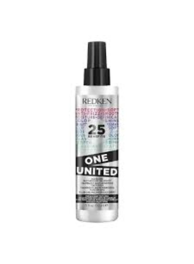 ريدكين بخاخ علاج شعر 25 بينيفيتس ون يونايتد من ريدكن، 150 ملليلتر