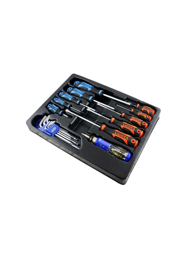 LICOTA 20 - Pieces Hex And ScrewInchiver Set  - Image 2