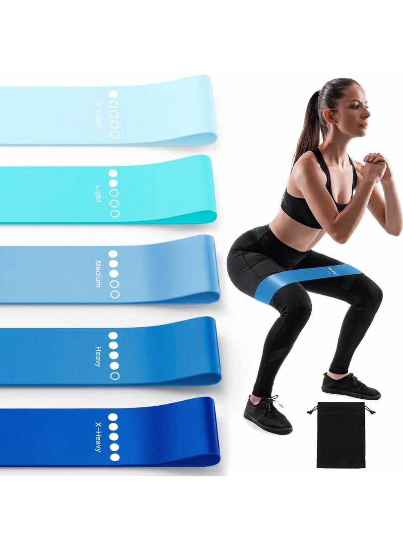 RADIANCES Resistance Band Set, 5-Pack Elastic Exercise Bands for Strength Training, Stretching, Workout; Home Gym Equipment for Women Men, Pilates Yoga Physical Therapy, Leg Glute Arm Exercise Kit(Blue) - Image 1