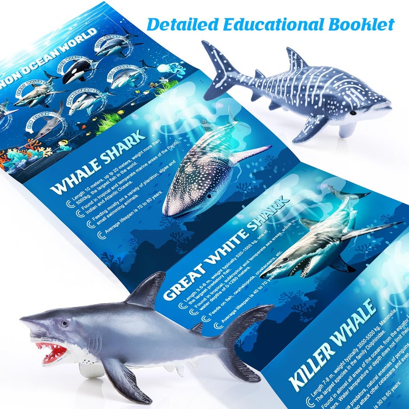SIENON 11pcs Shark Figures with Booklet, Realistic Sea Creatures Bath Toys Whale Shark Ocean Animal Figurines for Kids Educational Birthday Party Favors Cake Toppers - Image 3