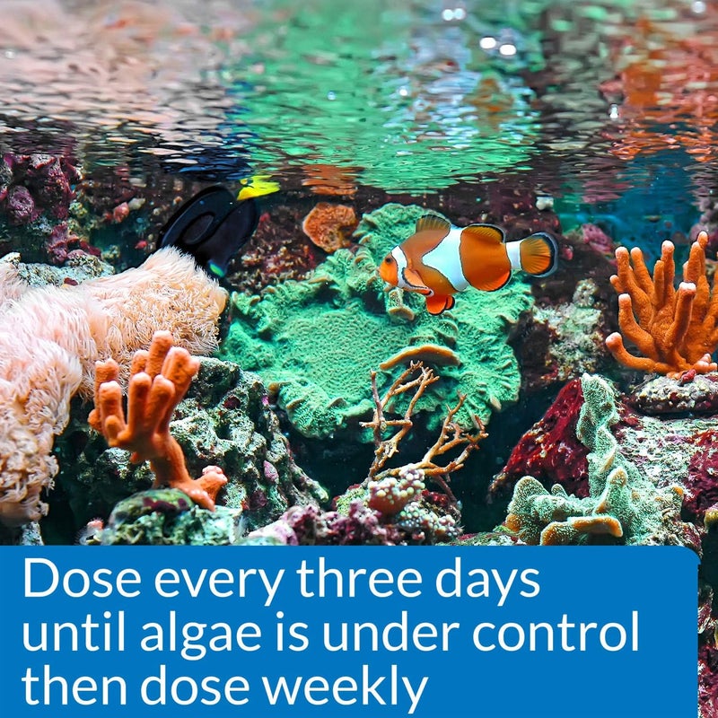 API Marine Algaefix - 16 Ounce Algae Control Solution for Saltwater Aquariums - Image 2