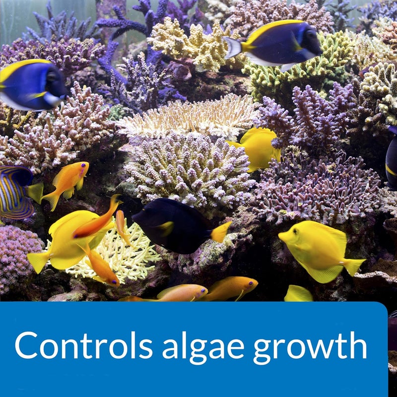 API Marine Algaefix - 16 Ounce Algae Control Solution for Saltwater Aquariums - Image 4