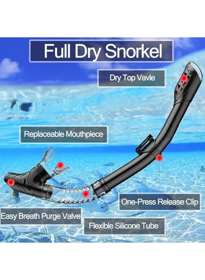Generic Snorkel Mask Set Snorkeling Gear Dry Snorkel Set and Mask Kids Adults Anti Fog 180 Degree Seaview with Mesh Bag, Scuba Diving Swimming Training Equipment Men Women - Image 3
