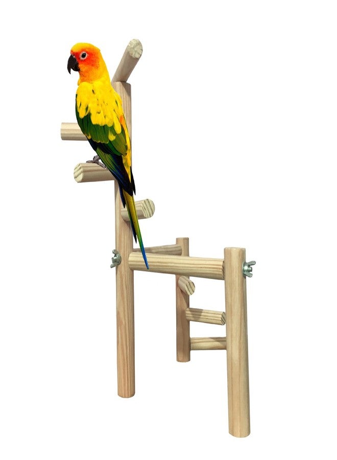 سايج سكوير حامل تدريب ضخم من مستويين، 40.5 سم/16 بوصة، بست درجات، مصنوع من الخشب الطبيعي، يُستخدم كحامل للطيور أو كلعبة لها. - Image 4