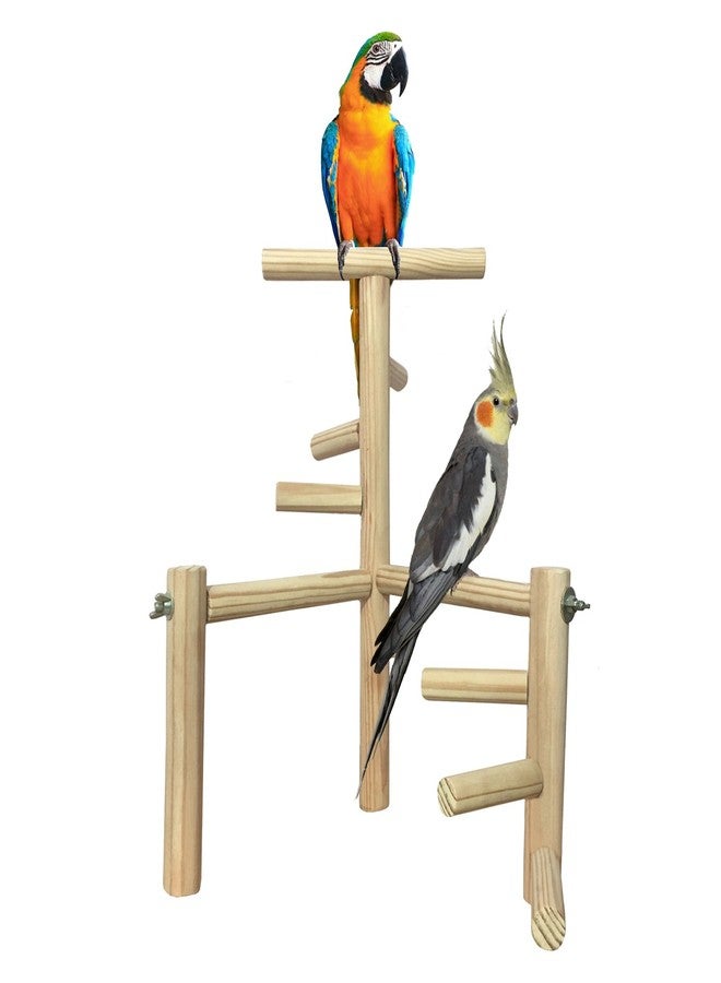 سايج سكوير حامل تدريب ضخم من مستويين، 40.5 سم/16 بوصة، بست درجات، مصنوع من الخشب الطبيعي، يُستخدم كحامل للطيور أو كلعبة لها. - Image 1