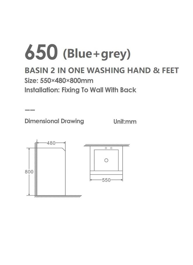 DANUBE HOME Milano Basin 2 In One W/Accessories (Washing Hand & Feet) 650 Blue And Grey | Porcelain Wall Hung | Wall Mounted Wash Basin Lavatory Sink For Toilet Bathroom - Blue&Grey  - Image 3