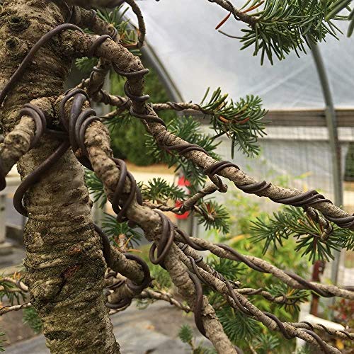 A.Leaf ALEAF 50 Meters Aluminium Wire for Bonsai Beginner's Starter kit - 10 Meters Each 1mm, 1.5mm, 2mm, 2.5mm & 3mm - Image 2