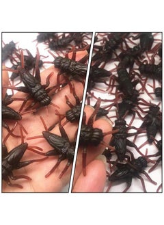Toyvian Plastic Cricket Prank Props, Scary Pranks For Adults, Fake Realistic, Fake Cricket Simulation Cricket Fun Prop For Halloween Party Favor,Kids 50 Pieces  - Image 3