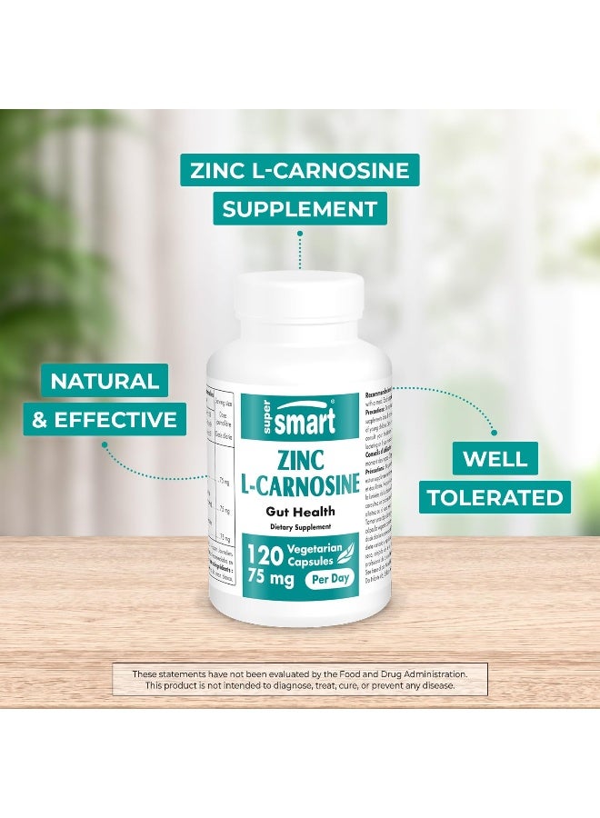 SuperSmart Zinc LCarnosine 75mg per Day WellTolerated Zinc Carnosine Supplement NonGMO Gluten Free 120 Vegetarian Capsules - Image 2