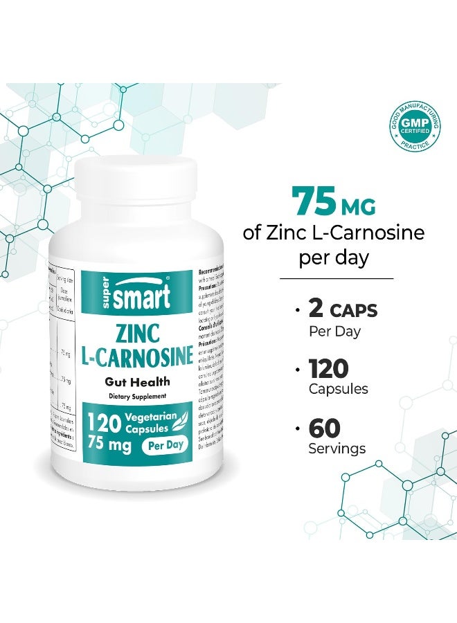 SuperSmart Zinc LCarnosine 75mg per Day WellTolerated Zinc Carnosine Supplement NonGMO Gluten Free 120 Vegetarian Capsules - Image 4