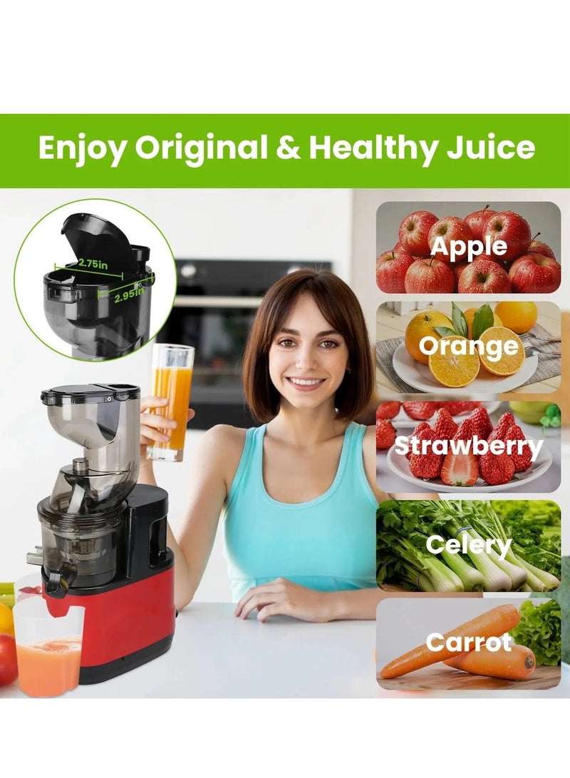 بلو فاير عصارة بطيئة متعددة الوظائف - فتحة تغذية كبيرة 8 سم للفواكه والخضروات الكاملة - عصر على البارد، عالي الجودة، صامت، سهل التنظيف، مواد آمنة للأطفال - عصارة كهربائية للمنزل أو السفر - Image 5