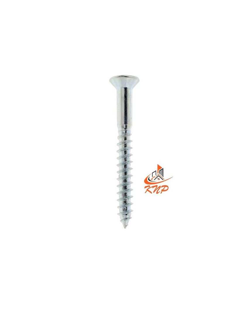 GI Wood Screw 10 X 4" - 100pcs