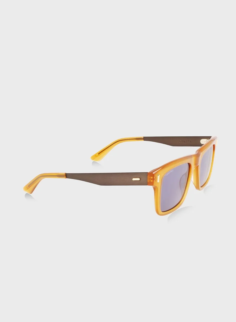 CALVIN KLEIN Wayfarers Sunglasses
