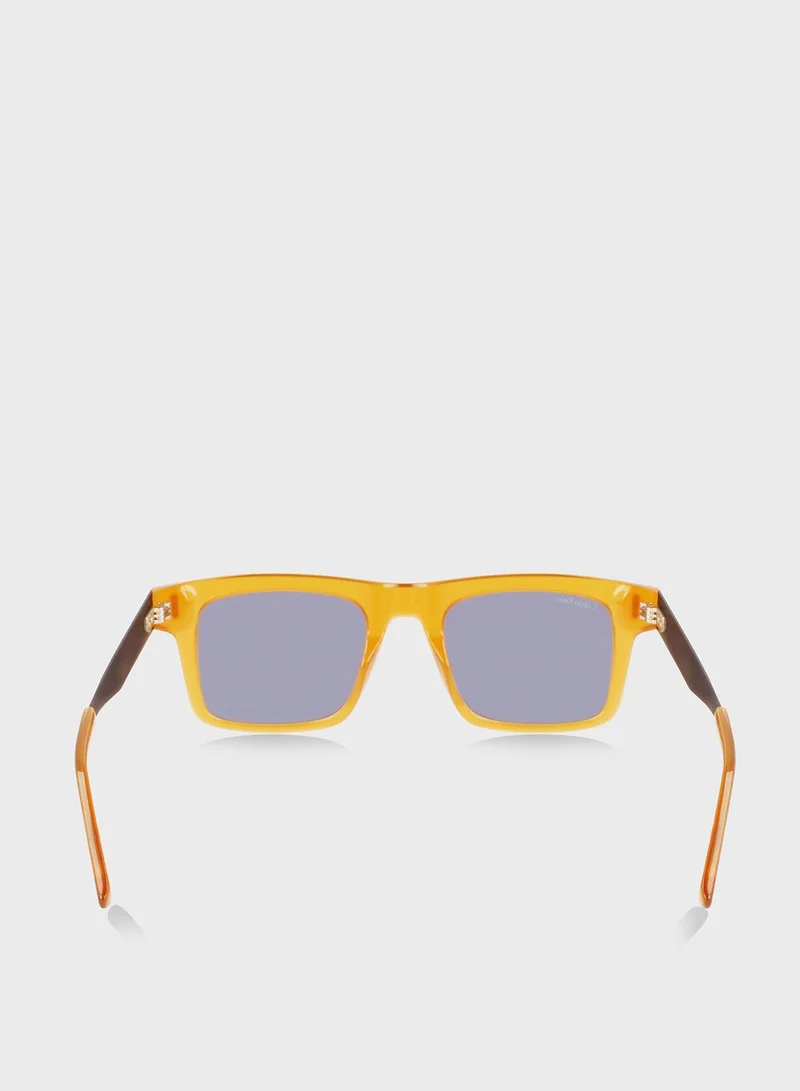 CALVIN KLEIN Wayfarers Sunglasses