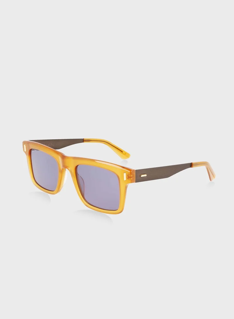 CALVIN KLEIN Wayfarers Sunglasses
