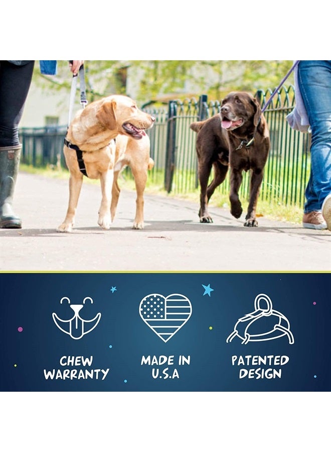 2 HOUNDS DESIGN Freedom No Pull Dog Harness | Adjustable Gentle Comfortable Control for Easy Dog Walking | for Small Medium and Large Dogs | Made in USA | Leash Not Included | 1" LG Black