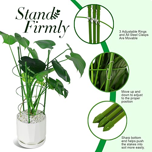 LEOBRO 2 Pack Plant Support Cage Metal Rust Resistant Garden Plant Support Ring Plant Stake Plant Support for Tomato, Trellis, Climbing Plant, Flower, 17.7” High, 5.48”/6.18”/6.89” Inner Diameter - Image 5