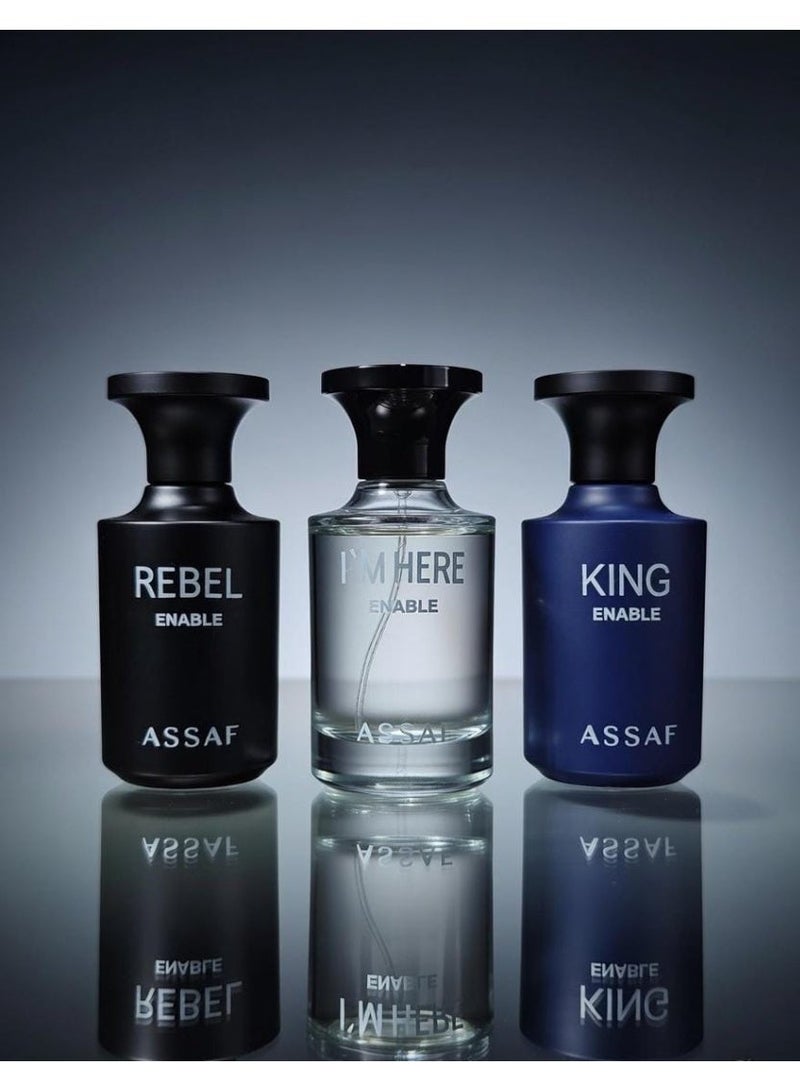 ASSAF Rebel Perfume Set 3* 100ml - Image 1