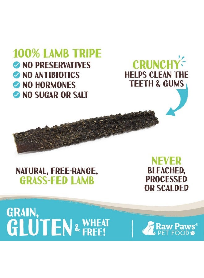 Raw Paws Green Lamb Tripe Sticks For Dogs, 25Pack  Single Ingredient, Crunchy Green Tripe Lamb Dog Treats  GrassFed, Free Range Dehydrated Lamb Tripe For Dogs All Natural Dog Chews - Image 2