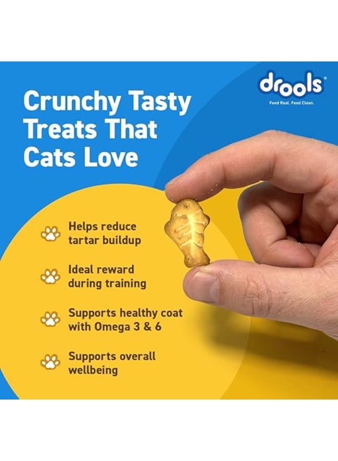 Drools Adult Cat Treat Biscuits 400g Jar | Real Chicken Flavour | Encourages Activity | Supports Oral Health | Training & Discipline - Image 5