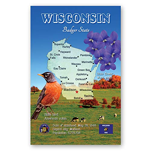Postcard Fair WISCONSIN MAP postcard set of 20 identical postcards. WI state map post cards. Made in USA. - Image 3
