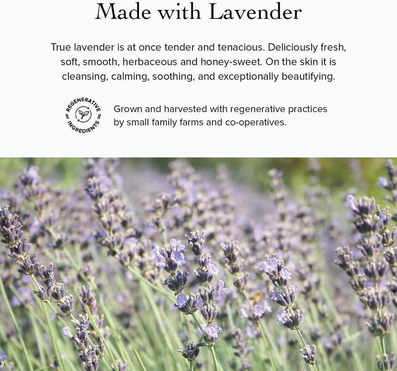 Evanhealy Lavender Argan Light Moisturizer - Vegan Light Moisture Replenishing Fluid for All Skin Types, 2 Ounces - Image 5