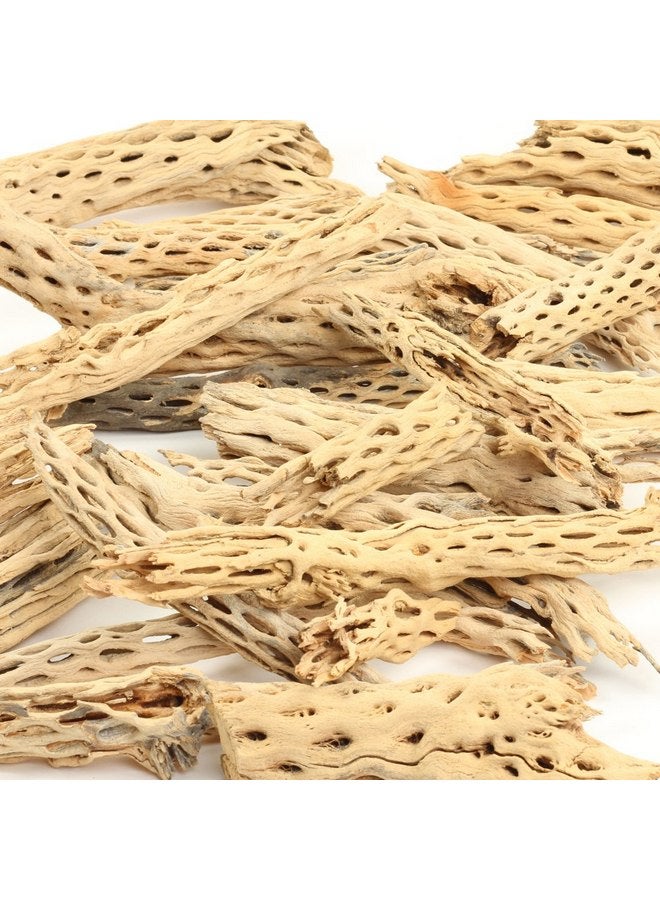 Koyal Wholesale Natural Cholla Wood Aquarium Branches, Airplants Decor, Reptile Perch, Natural Home Decoration, (2lb Bag) - Image 1