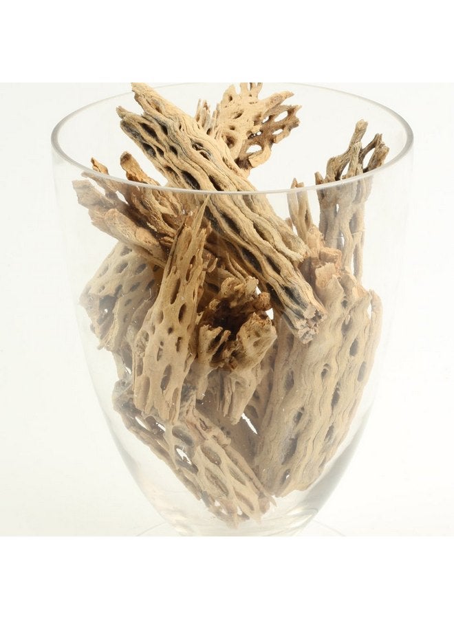 Koyal Wholesale Natural Cholla Wood Aquarium Branches, Airplants Decor, Reptile Perch, Natural Home Decoration, (2lb Bag) - Image 2