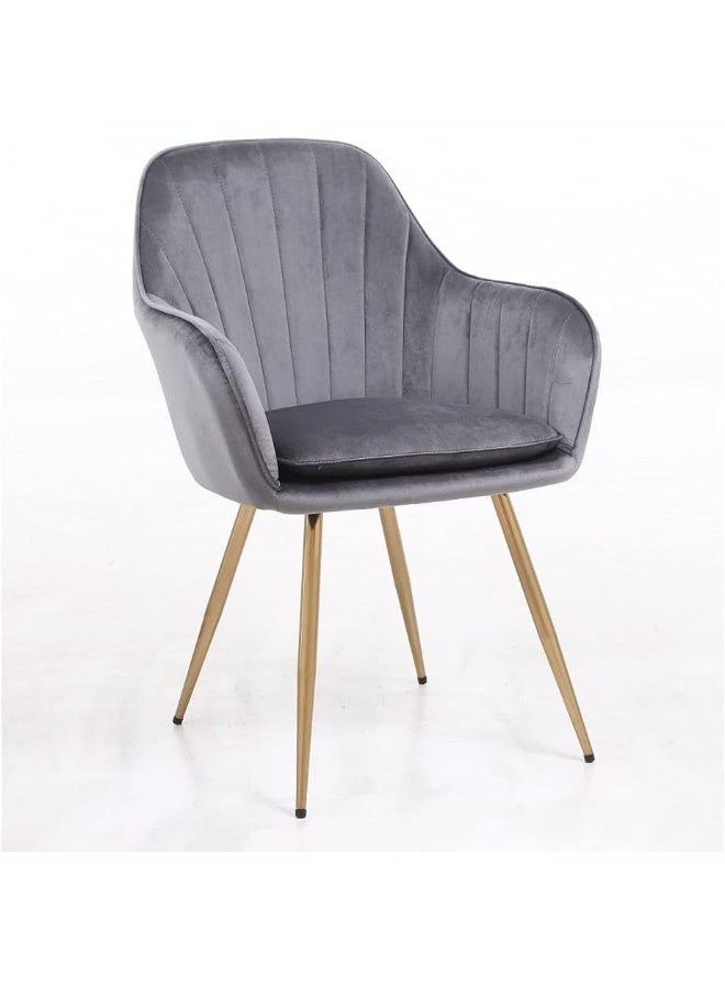 Ripple FURNITURE Living Room, Dining Room, Hotel Restaurant and Office Visitor Velvet Chair (Grey) - Image 1