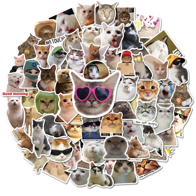 Fuzmo 100 Pcs Cat Stickers, Cute Meme Kitten Stickers for Water Bottles Laptop Guitar Suitcase, DIY Waterproof Vinyl Decals Gifts for Adults Teens Kids Boys Girls - Image 1