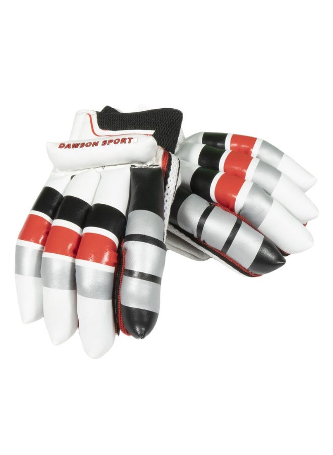 DAWSON SPORTS قفازات كريكيت للضرب - للشباب - Image 1