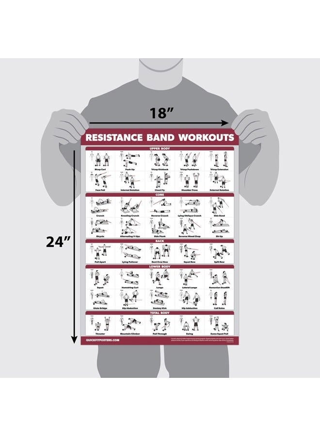 Palace Learning QuickFit Resistance Bands Workout Exercise Poster - Resistance Tubes Fitness Routine Chart (Laminated, 18" x 27") - Image 2