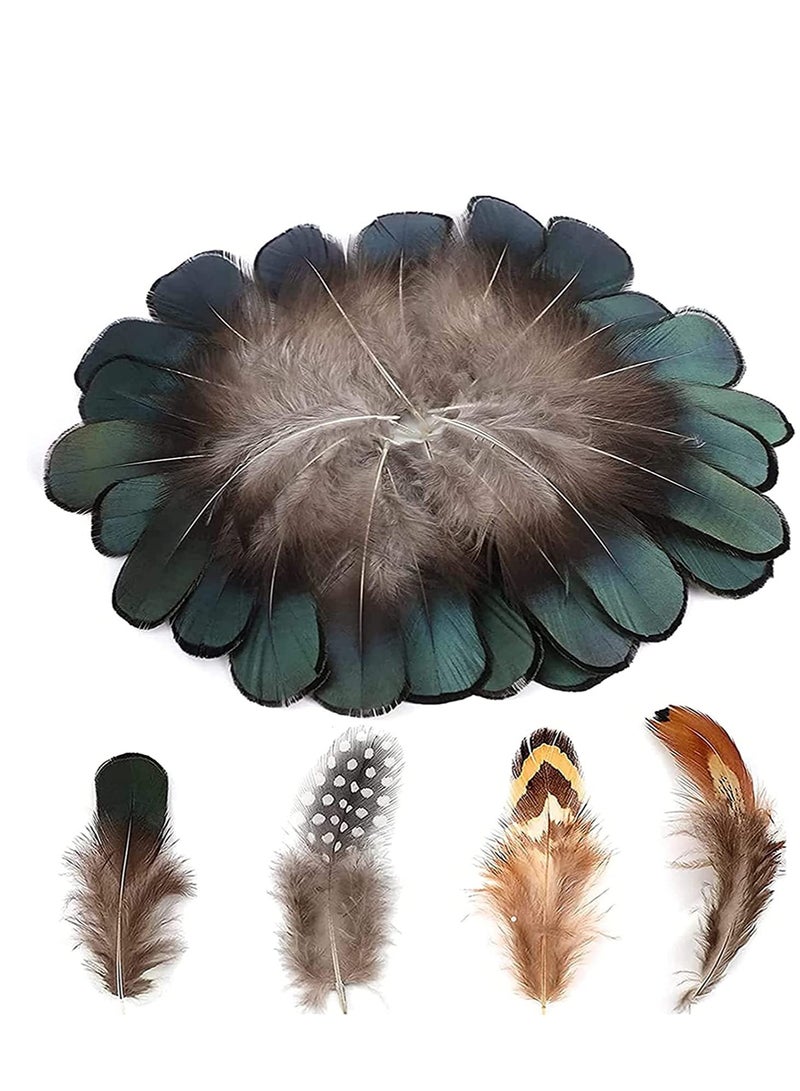 Excefore 200 Pieces DIY Crafts Feathers 4 Assorted Chicken Feathers for Dream Catcher Party Mask Decoration, Green Black Yellow Brown Decor Feather - Image 1