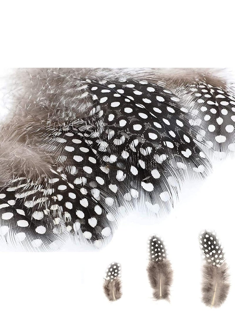 Excefore 200 Pieces DIY Crafts Feathers 4 Assorted Chicken Feathers for Dream Catcher Party Mask Decoration, Green Black Yellow Brown Decor Feather - Image 5