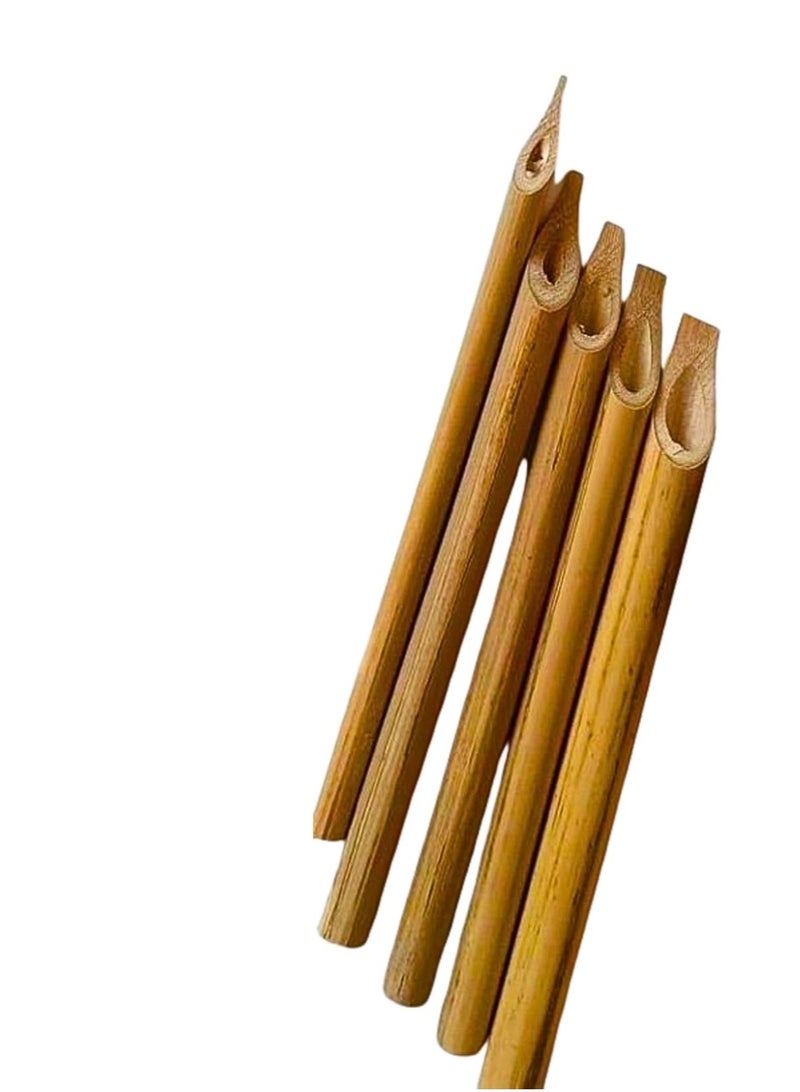 Terabyte أقلام قلم الخيزران، أقلام الخط، مجموعة أقلام الخط 5 قطع، أقلام خط يدوية الصنع بتصميم عتيق لكتابة، رسم، طلاء (مجموعة طرف خيزران طبيعي) - Image 1